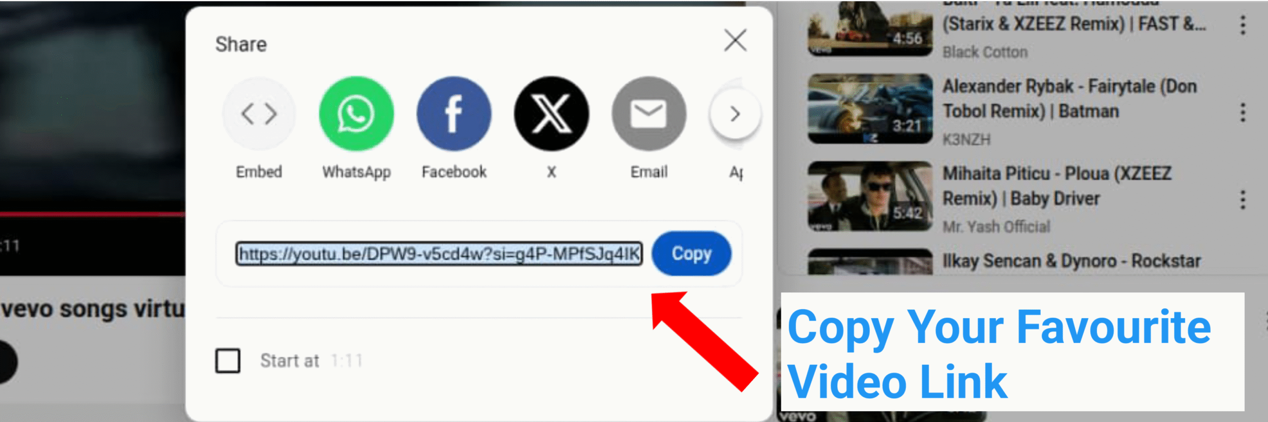 Step 1 - Paste your video link into MultiVidz video downloader
