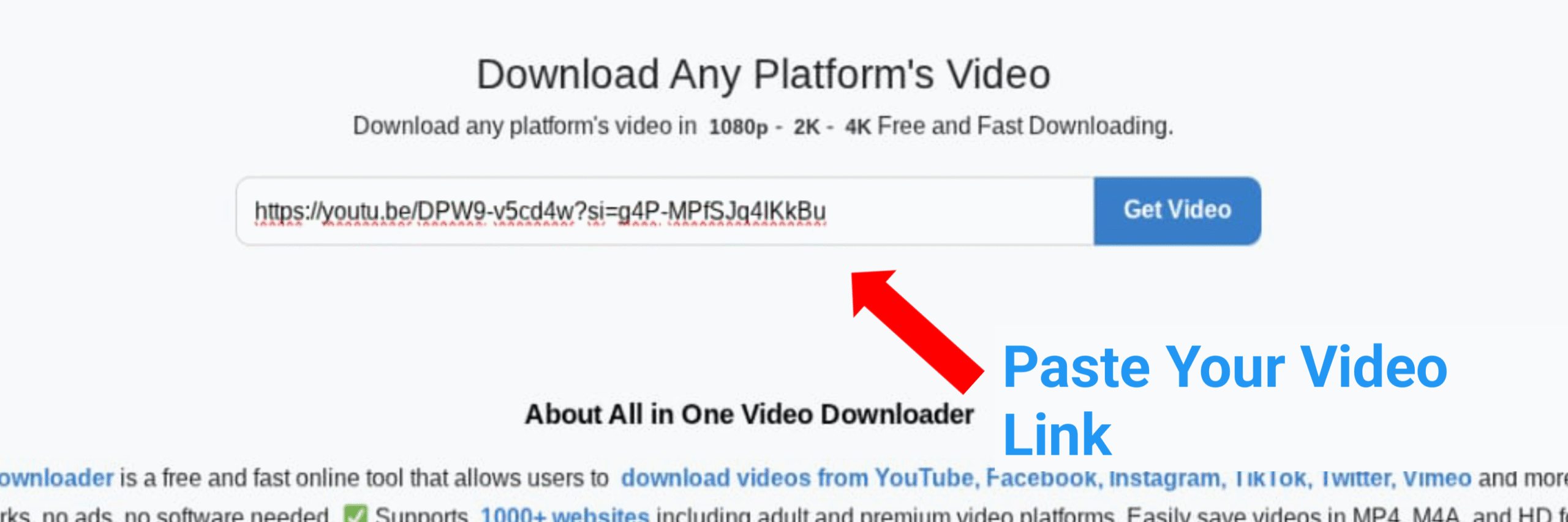 Step 2 - Paste your video link into MultiVidz video downloader